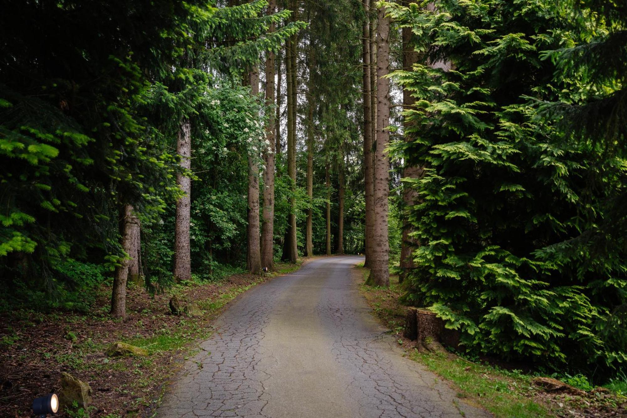 Hotel Steineweiher Санкт Вит Экстерьер фото